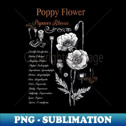 Poppy Flower - Botanical illustration with scientific classification - Exclusive PNG Sublimation Download - Vibrant and Eye-Catching Typography