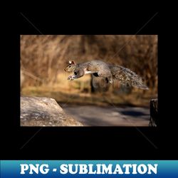 Flying Grey Squirrel - Exclusive Sublimation Digital File - Perfect for Sublimation Mastery