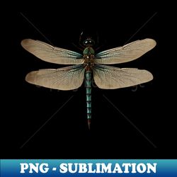 Common Green Darner Dragonfly Entomology - Unique Sublimation PNG Download - Enhance Your Apparel with Stunning Detail