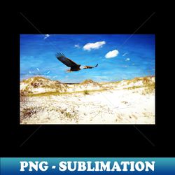 Bald Eagle on Cumberland Island - High-Quality PNG Sublimation Download - Capture Imagination with Every Detail
