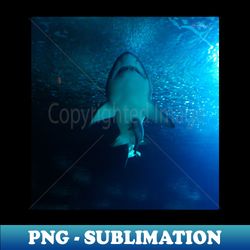 Sharks - PNG Transparent Sublimation Design - Instantly Transform Your Sublimation Projects