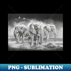 The Old Guard - Signature Sublimation PNG File - Transform Your Sublimation Creations