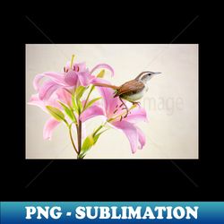 Pink Lilies and the Carolina Wren - High-Resolution PNG Sublimation File - Bring Your Designs to Life
