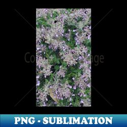 green white flowers photography my - aesthetic sublimation digital file - unleash your creativity
