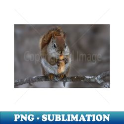 Squirrel with nut - High-Resolution PNG Sublimation File - Perfect for Sublimation Mastery