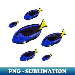 regal blue tang marine aquarium fish group  coral reef wildlife - png transparent digital download file for sublimation - revolutionize your designs