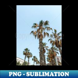 Palm in Barcelona - Modern Sublimation PNG File - Unleash Your Inner Rebellion