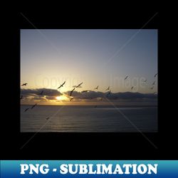 sunset flight - Special Edition Sublimation PNG File - Create with Confidence