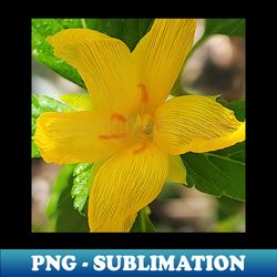 Yellow bloom - High-Quality PNG Sublimation Download - Perfect for Sublimation Art
