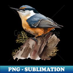 nuthatch bird on a tree branch 30 - premium sublimation digital download - defying the norms