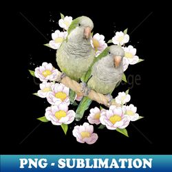 parrot - Special Edition Sublimation PNG File - Fashionable and Fearless
