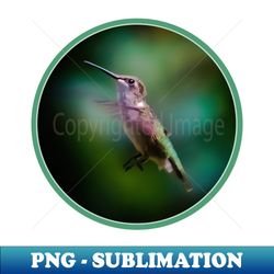 ruby-throated hummingbird photograph - png transparent sublimation file - vibrant and eye-catching typography