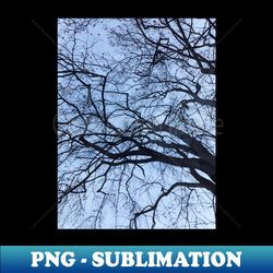 the tree sky photography my - premium sublimation digital download - bold & eye-catching