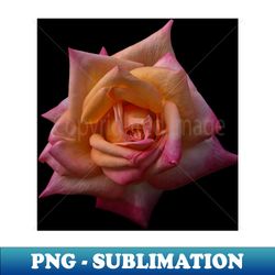 Still Life - PNG Transparent Digital Download File for Sublimation - Unleash Your Inner Rebellion