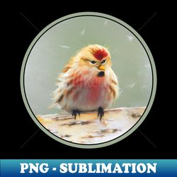 Common Redpoll - Exclusive Sublimation Digital File - Transform Your Sublimation Creations