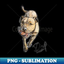 Staffy - Frank with Ball - No1 - Elegant Sublimation PNG Download - Bold & Eye-catching