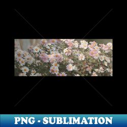Daisy Pink and White - PNG Sublimation Digital Download - Perfect for Sublimation Art