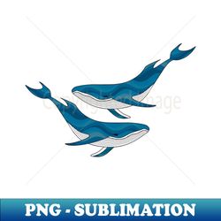 Orca whale - Special Edition Sublimation PNG File - Perfect for Sublimation Art