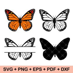 Butterfly svg, Butterfly svg bundle, Layered Butterfly Bundle Cricut SVG Files, Butterflies, Butterfly Svg for Cricut,