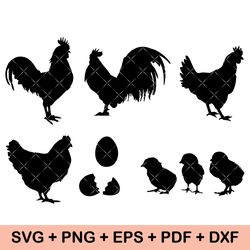 Chicken svg bundle, Rooster Svg, Farm Chicken Svg, Floral Chicken svg, Chicken Whisperer svg, Crazy lady svg, Cut File