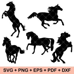 Horse Svg, Equestrian Svg, Horse Png, Rodeo Svg, Horses Svg, Horse Shirt Svg, Horseshoe Svg, Horse Svg Bundle, Horse svg