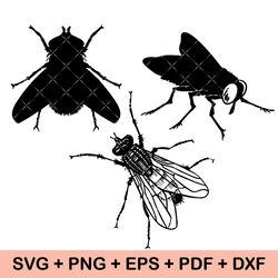 Horsefly SVG , Insect SVG, Fly Vector, Fly Bundle SVG, Fly svg, Fly Fishing svg Bundle, horse fly svg, bug svg,