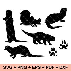 Baby Otter SVG, Funny SVG, Otter split monogram svg, Cute Otters SVG, Otter svg file for Shirt, Animals svg, Otter kids
