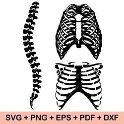 Skeleton Rib SVG Bundle, Skeleton Rib vector, Skeleton Rib cut files, Rib Cage svg, Skeleton Rib Cage SVG, Skeleton Bone