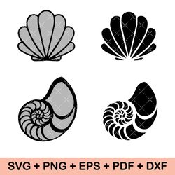 Seashell SVG Bundle, Seashell PNG Bundle, Seashell Clipart, Seashell SVG Cut Files for Cricut, Seashell Silhouette, Sea
