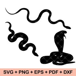 Snake SVG Bundle, Snake PNG Bundle, Floral snake svg, Snake Clipart, Celestial Snake svg, Snake Head Svg, Cobra Svg,