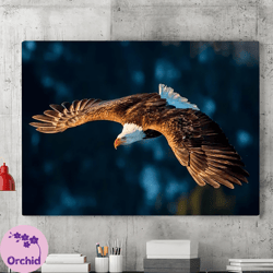 Eagle Canvas Wall Art, Animal Wall Frame Picture, Wild Animal Print, Animal Poster, Home Decor