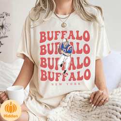 Retro Buffalo Josh Allen Shirt , Buffalo Bill Football SweatShirt , Football Jersey Fan Gift, Game Day Hoodie, Josh Alle