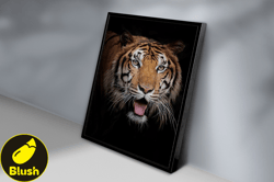 Bengal Tiger Black Background Canvas, Canvas Wall Art Canvas Design, Home Decor Ready To Hang