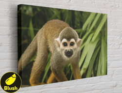 Black Big Eyed Monkey Canvas, Wall Art Canvas Design, Home Decor Ready To Hang
