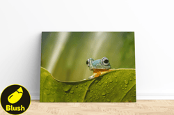 Little Frog Canvas, Wall Art Canvas Design, Home Decor Ready To Hang