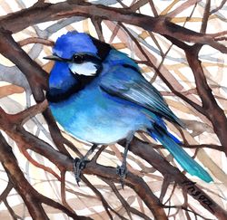 Bird watercolor, original birds painting art, bird painting, handmade art, watercolor, home decor by Anne Gorywine