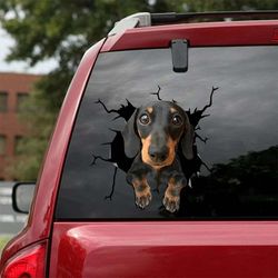 dachshund car window decal stickers vinyl decal waterproof