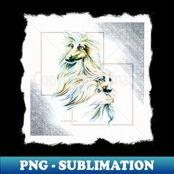 afghan hound colour accented graphite - png transparent digital download file for sublimation - stunning sublimation graphics