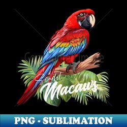 Scarlet Macaws - Unique Sublimation PNG Download - Add a Festive Touch to Every Day