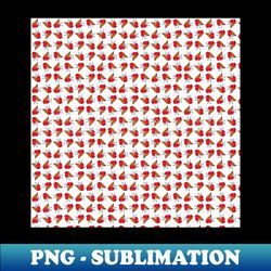 Christmas robins 1 - Exclusive PNG Sublimation Download - Perfect for Personalization
