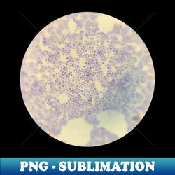 Science pattern - Exclusive PNG Sublimation Download - Stunning Sublimation Graphics