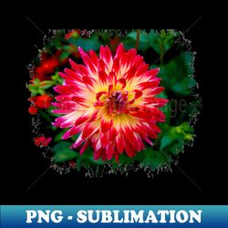 Rainbow Dahlia - Special Edition Sublimation PNG File - Unleash Your Inner Rebellion