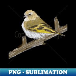 Pine Siskin - Trendy Sublimation Digital Download - Stunning Sublimation Graphics