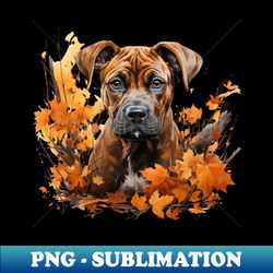 boxer puppy - png sublimation digital download - spice up your sublimation projects