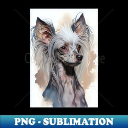 Chinese Crested Dog Portrait - Decorative Sublimation PNG File - Spice Up Your Sublimation Projects