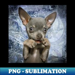 Cheeky Chihuahua Funny Face art design - Vintage Sublimation PNG Download - Add a Festive Touch to Every Day