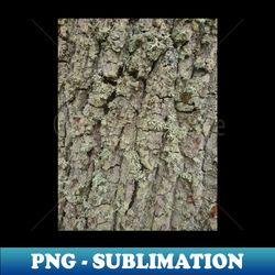 tree bark and lichen texture - signature sublimation png file - perfect for personalization