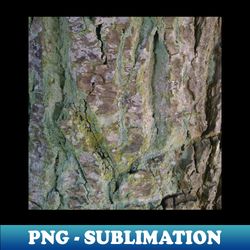 tree bark texture 3 - creative sublimation png download - defying the norms