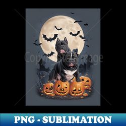 Halloween costumes pumpkin halloween for  dog lovers - Digital Sublimation Download File - Bring Your Designs to Life