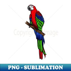 Parrot - Exclusive Sublimation Digital File - Perfect for Sublimation Art